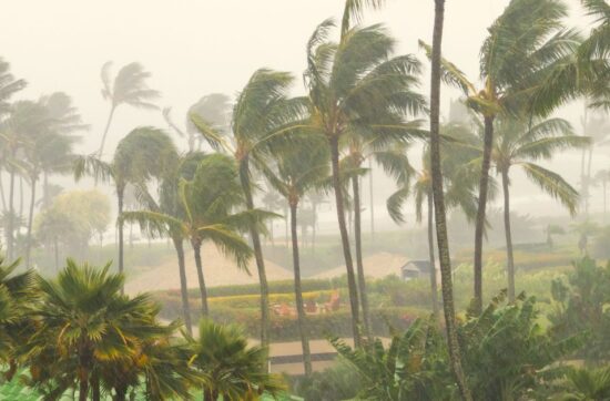 florida wind and how it affects a roof certification inspection in fort lauderdale