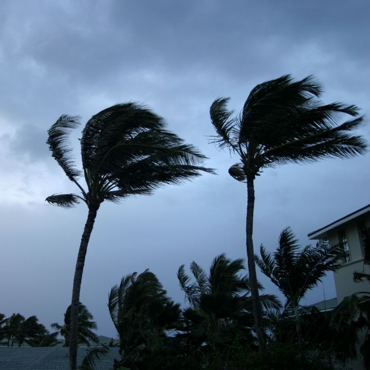 prepare for hurricanes with wind mitigation inspection sebastian florida