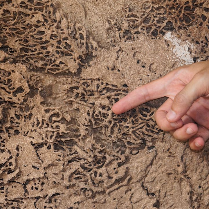 full home pre-purchase inspection in florida